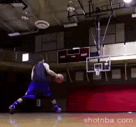 Stephen Curry Shooting Jump Shot(3)
