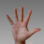 2 Basic Basketball Shooting Hand Types: Stiff Hand and Soft Hand